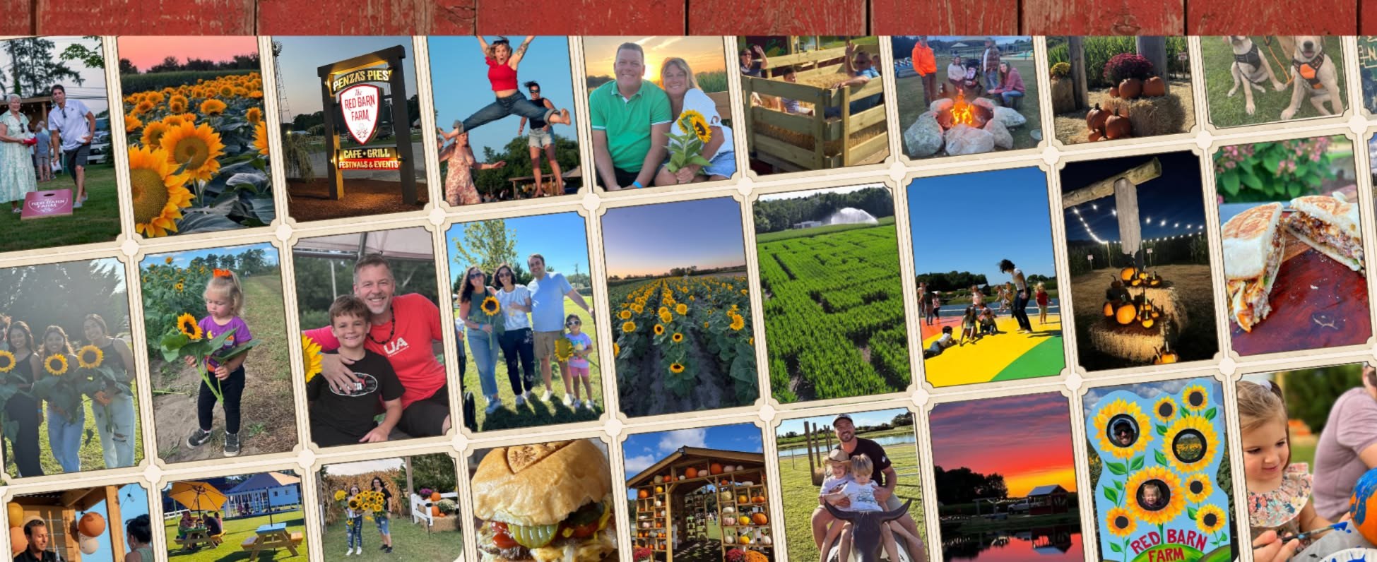 Fall at The Red Barn Farm — sunflowers, corn maze, and family weekends